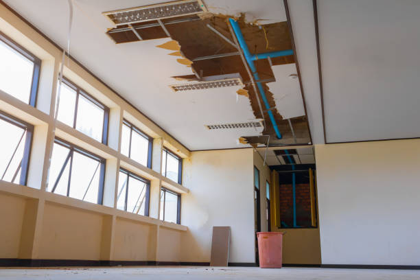 Best Flood restoration services  in Redlands, CO