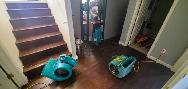 Best 24/7 water damage repair  in Redlands, CO