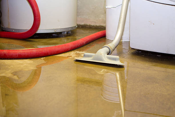 Best Local water damage restoration  in Redlands, CO