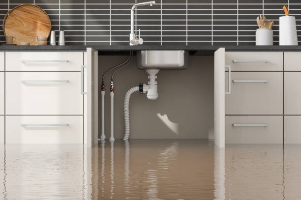 Best Commercial water damage restoration  in Redlands, CO