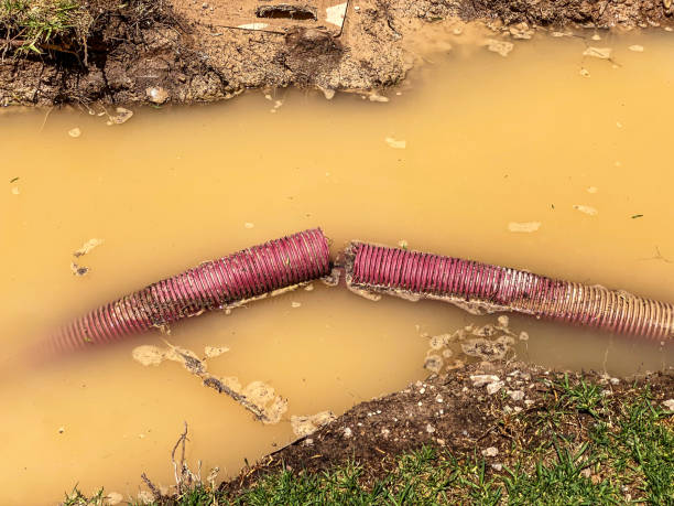 Best Water damage restoration near me  in Redlands, CO